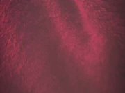 blackfoxyy69 romanian 08