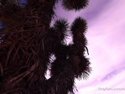 Madison Ivy - OF Star Wars Anal Solo 5