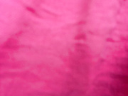 MerlinDave 11082024 0924