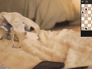 CB - Nova / n_o_v_a 46