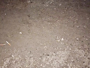 hilary283 2024-08-13 suck fuck facial squirt