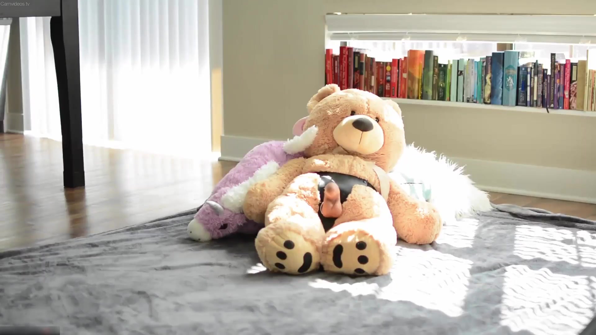 OddRosebud Sunny Afternoon 2