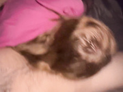 PantyNectar - Late night BJ in Bed