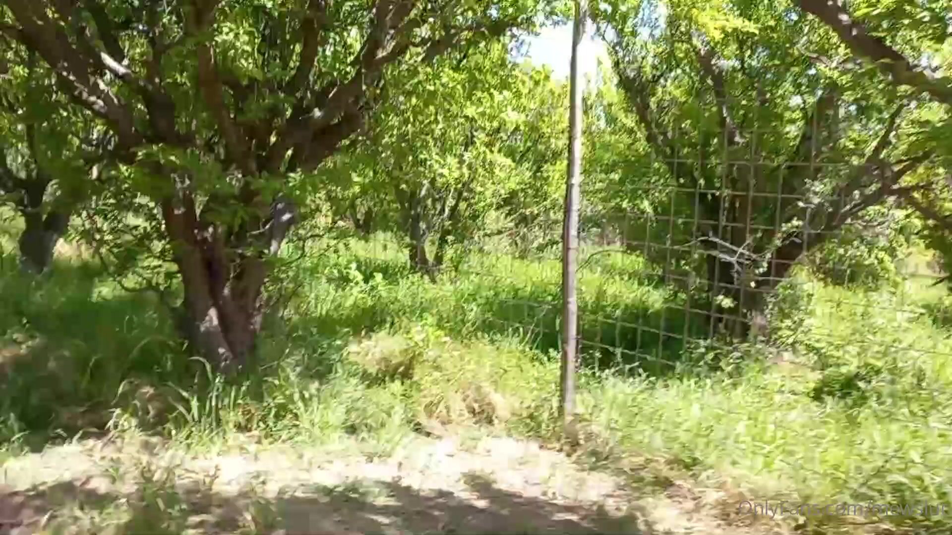 Soogsx forest facial