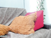 Xararouxxx Chaturbate 2024-11-04 02