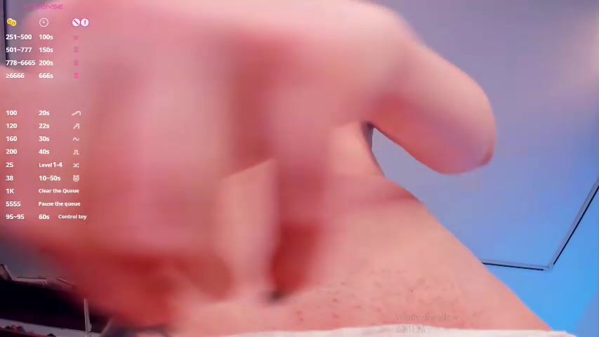 windy_swallow - topless