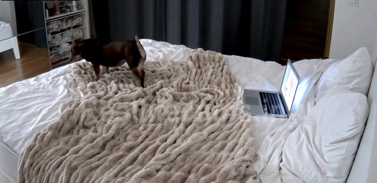 Leora puts dildo in her ass