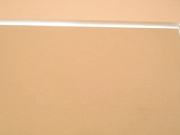 RoomToAvoid - Chat Room - MyFreeCams 2024-02-17