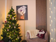 jovanna_smith 2024-12-30 22#47-001