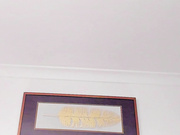 Bella Fontana 2025-01-31