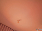 CB - germaine_jones 661