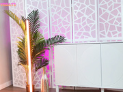 SaraLoveRays 25.02.09 004