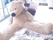 P3T!T3M4r!3 + T3ddyB34R [08.12.2019.05]