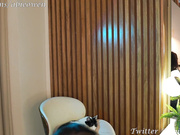 Abie_Owen 25.02.09 003