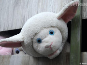 eleo-HotBootyShakePantyLess-14-29-02-26-2025