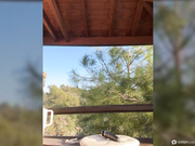 AMALIAMARKOVA_ NAKED PARK PUSSY RUB FUCK