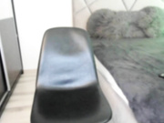 CB - blueeyeslexxxy 47