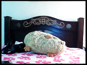 Toilet_hot  15 10  2016