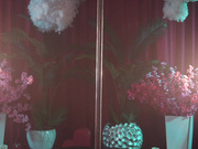 Kittycaitlin 2025-03-13 1746 2025-03-13 17 46