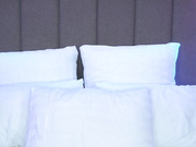 CB - arte_adelle 481