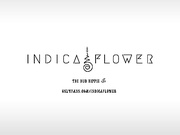 Indica Flower & Hailey Rose OF Let Me Share Her Hubby