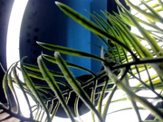 quennacindy-SoniaScott-cb-2025-04-28 1