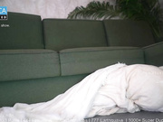 secretlylovelygirl June 24 2025 - Part 01