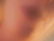 saltedhoney 2025-06-12_18-31-52-002