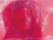 FoxCamila cam in pussy