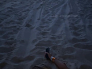 Carter cameron beach sex