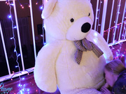 Bailey Rayne sucks and fucks her teddy bear