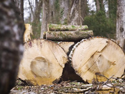 sexyhippies footjob fuck and cum in front of fireplace