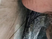 C4_porcellina181_November-01-2025