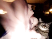 kati3kat may 20 2017 fingering butt plug cum toys