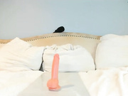 Eatmygingersnapps 3/14/25