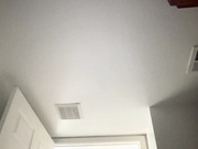 xosandratemplexo NN and so annoying!!