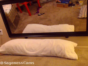 Sageness free webcam show 2015 January 15_07-56-56