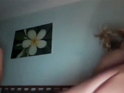 Harleybate 20260116 pt 2