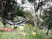 Simone_Miller fuck a boy in ts