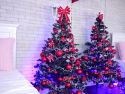 Carla Whites Christmas tree