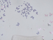 Sapphirealice public show