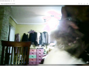 wife cheats on her husband during a phone call