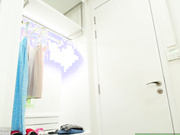 demurelixir group show