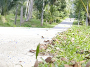 Octokuro OnlyFans Motostory