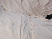 Paula_sfd 2025-05-02