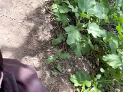 MoodieMaggie POV Quick Blowjob Video