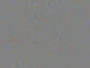 Missnerdydirty Fat Tit Teen Sucks a Black Dildo