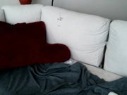 Vivid_whit November-14-2017