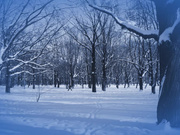 Christina Lucci HD bath