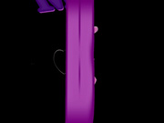 LeightonBrook BG Swinger